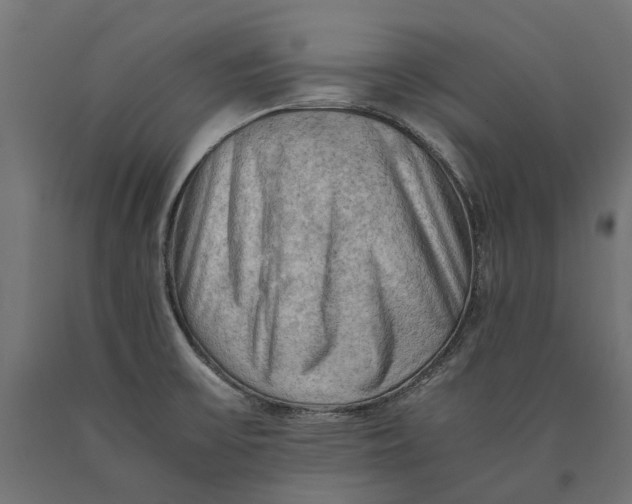 X0000090431475200708031118