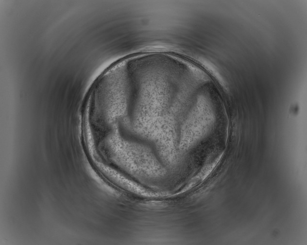 X0000090431476200708031118