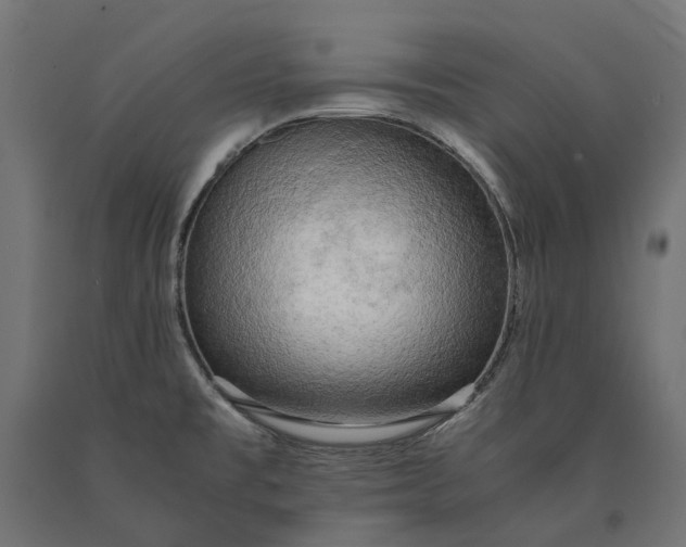 X0000090431477200708031118