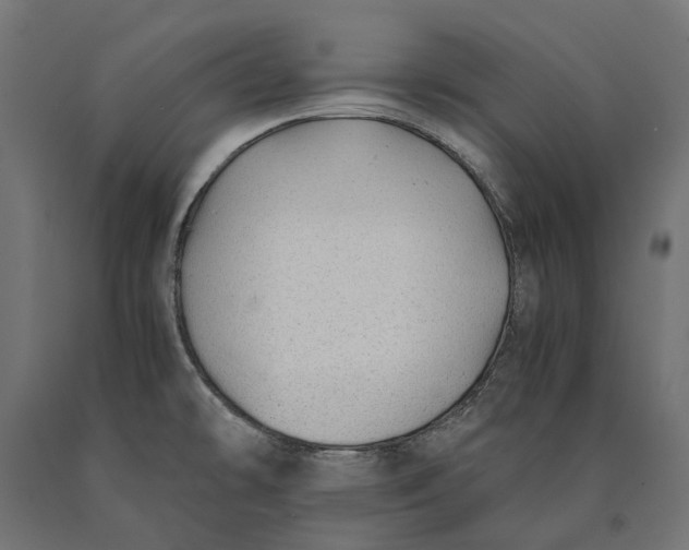 X0000090431478200708031118