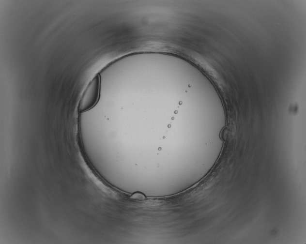 X0000090431479200708031118