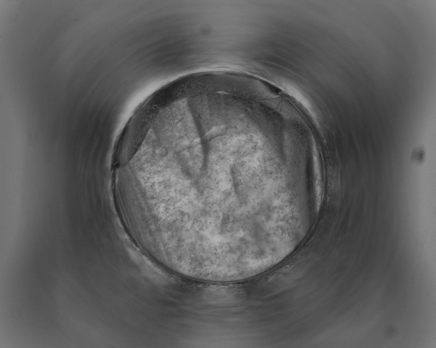 X0000090431480200708031118