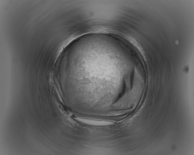 X0000090431481200708031118