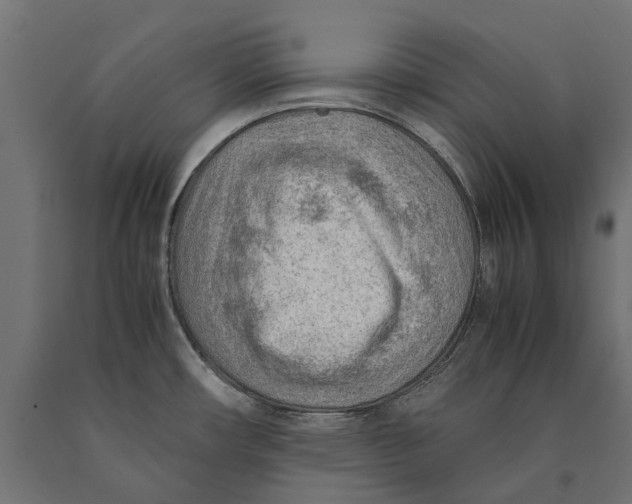 X0000090431482200708031118