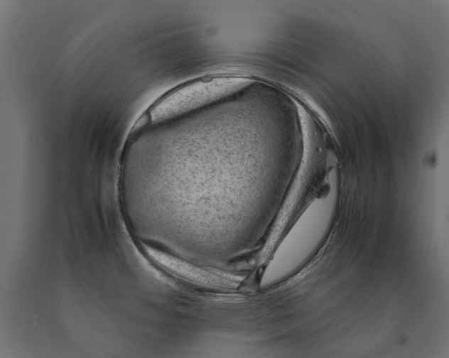 X0000090431484200708031118