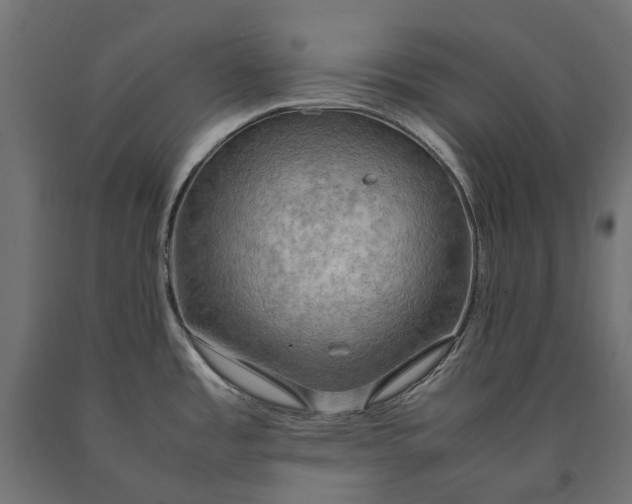 X0000090431485200708031118