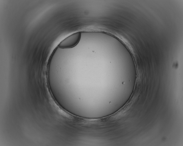 X0000090431486200708031118