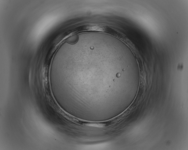 X0000090431487200708031118