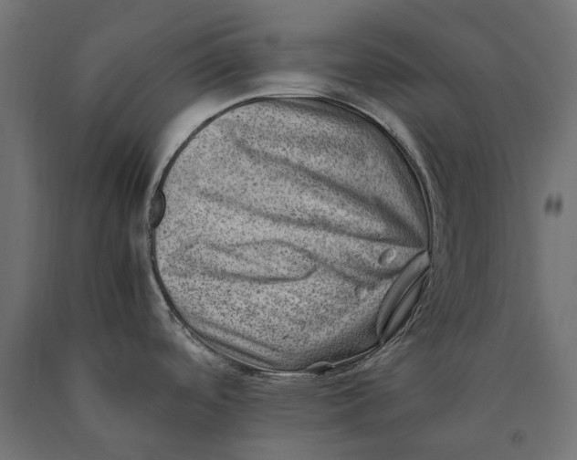 X0000090431488200708031118