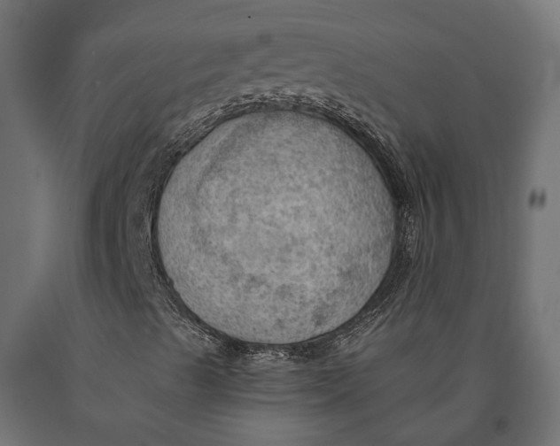 X0000090431489200708031117