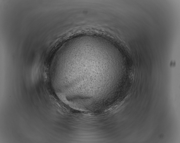 X0000090431490200708031117