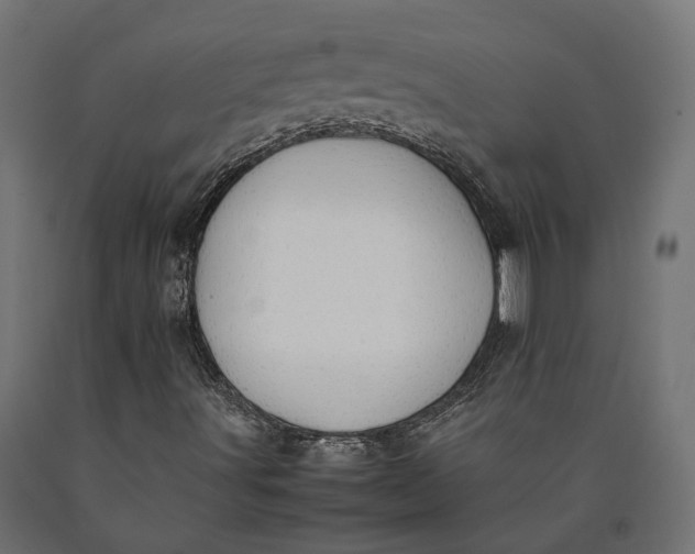 X0000090431491200708031117