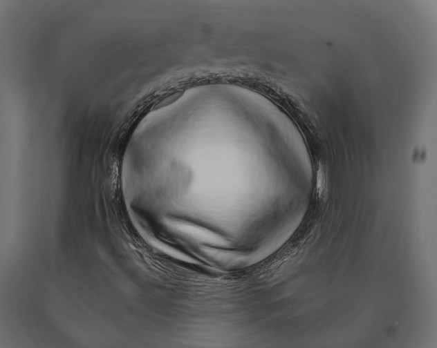 X0000090431492200708031117