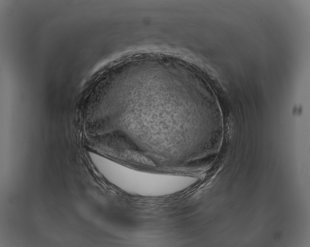 X0000090431494200708031117