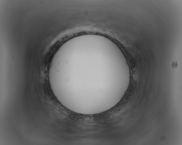 X0000090431495200708031117