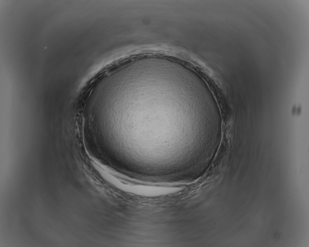 X0000090431496200708031117