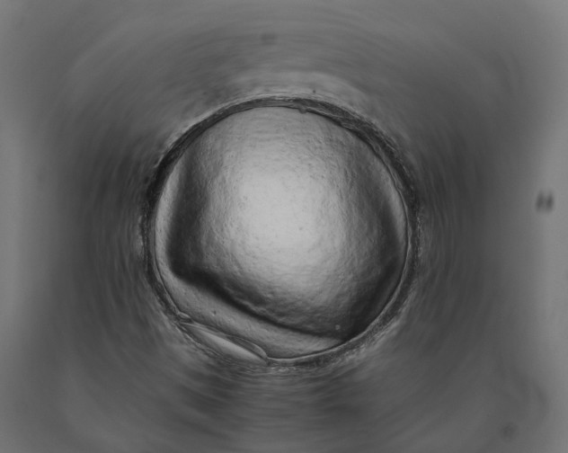 X0000090431497200708031117