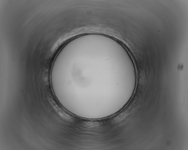 X0000090431499200708031117