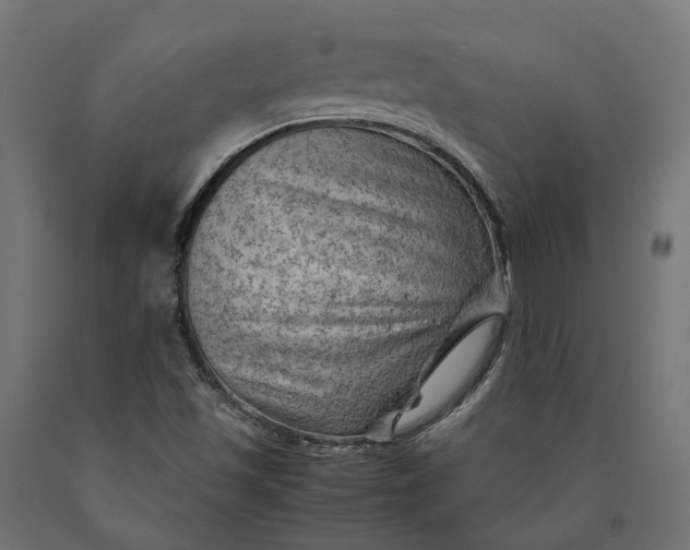 X0000090431501200708031117