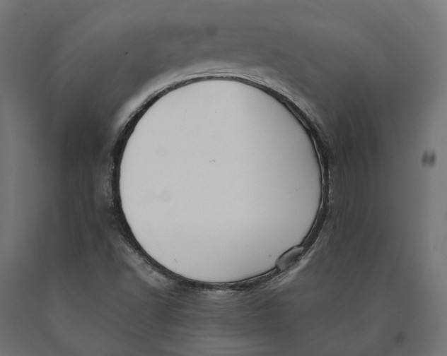 X0000090431502200708031117