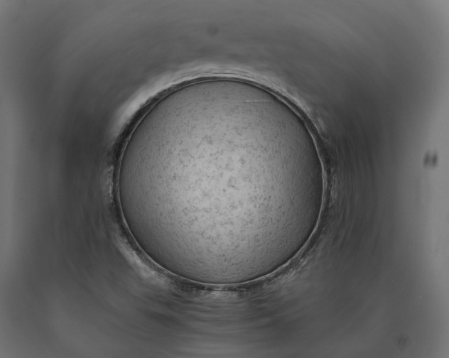 X0000090431503200708031117