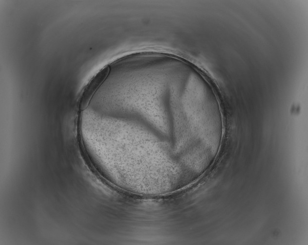 X0000090431504200708031117