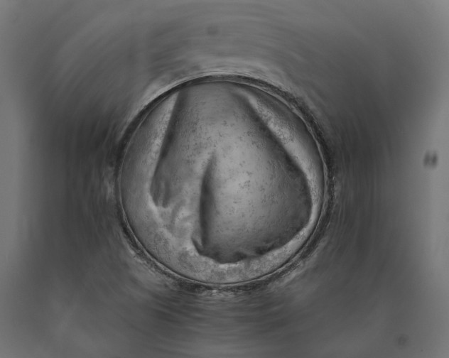 X0000090431505200708031117