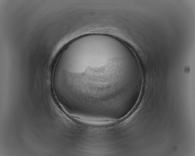 X0000090431506200708031117