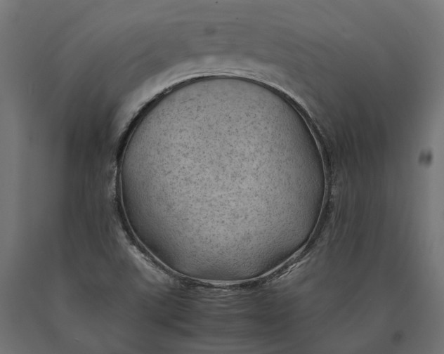 X0000090431507200708031117