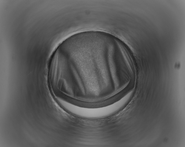 X0000090431508200708031117