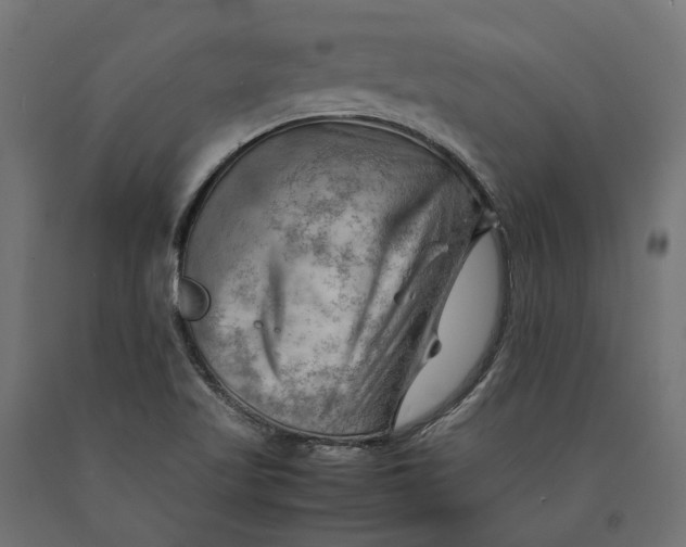 X0000090431509200708031117