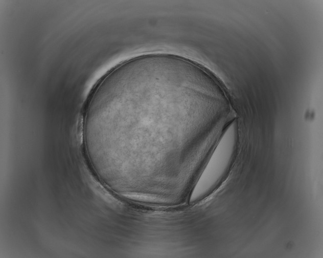 X0000090431510200708031117