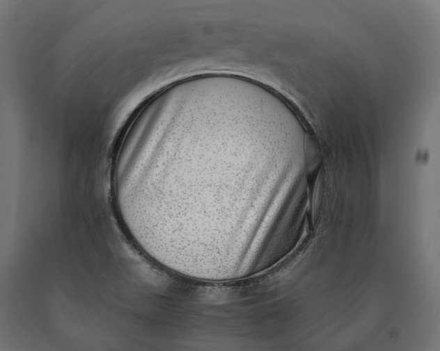 X0000090431511200708031117