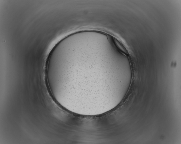 X0000090431512200708031117