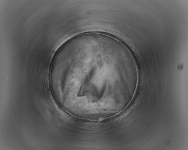 X0000090431513200708031117