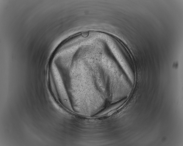 X0000090431515200708031117