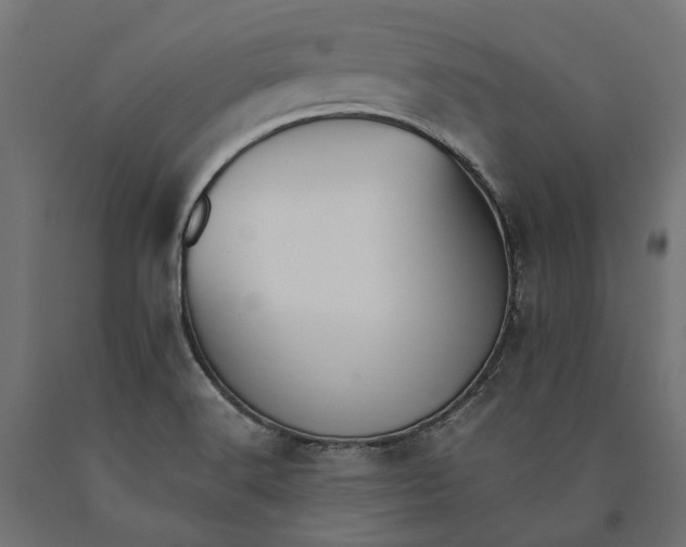 X0000090431516200708031117