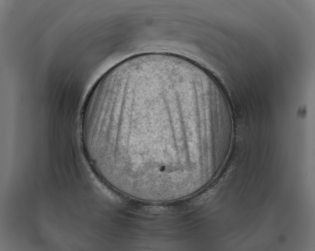 X0000090431517200708031117