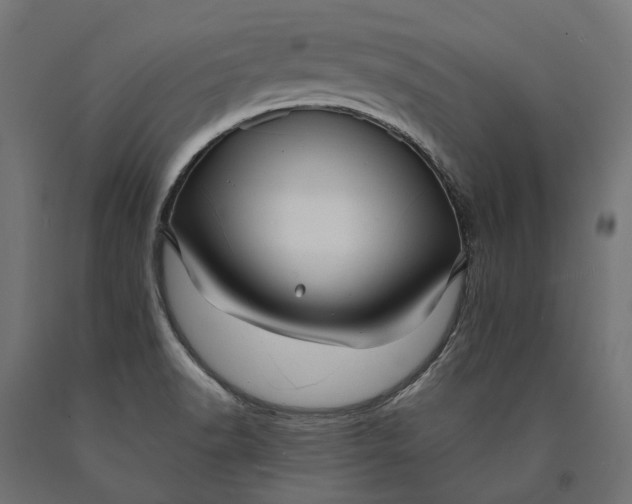 X0000090431518200708031117