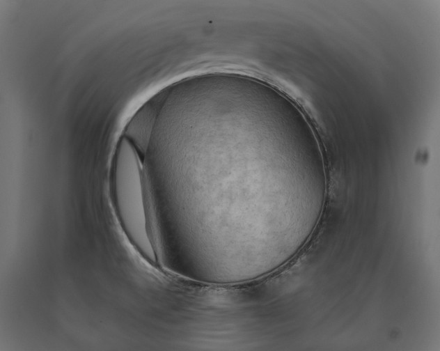 X0000090431520200708031117