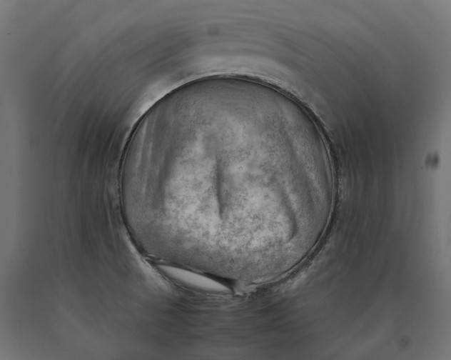 X0000090431521200708031117