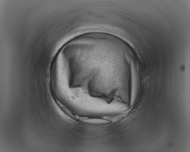 X0000090431523200708031117