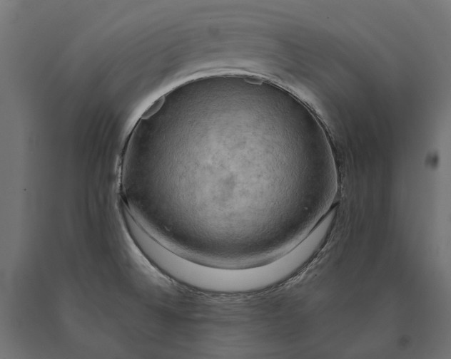 X0000090431524200708031117