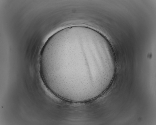 X0000090431526200708031118