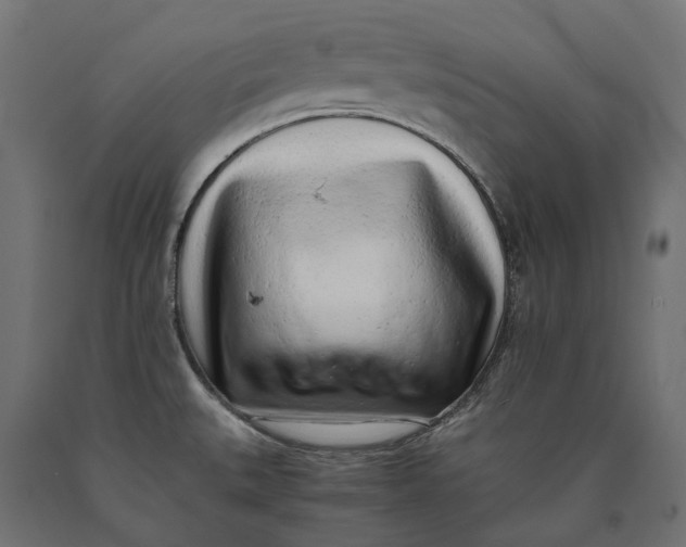 X0000090431527200708031118