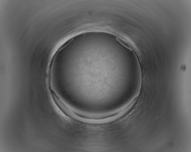 X0000090431528200708031118