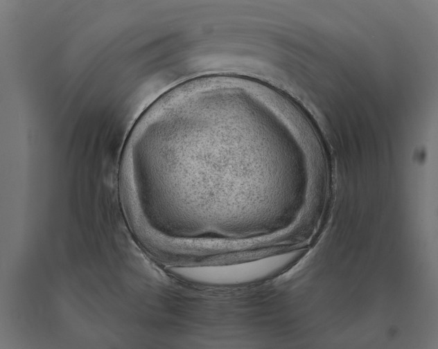 X0000090431529200708031118