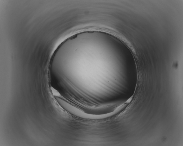 X0000090431530200708031118