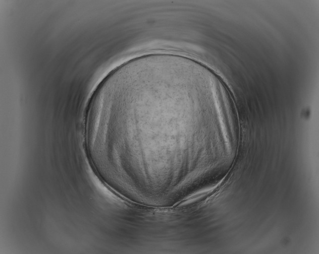 X0000090431531200708031118