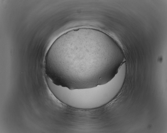 X0000090431532200708031118